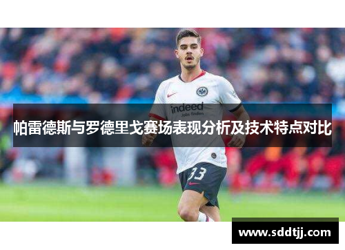 帕雷德斯与罗德里戈赛场表现分析及技术特点对比