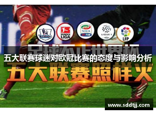 五大联赛球迷对欧冠比赛的态度与影响分析