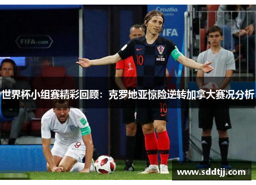 世界杯小组赛精彩回顾：克罗地亚惊险逆转加拿大赛况分析