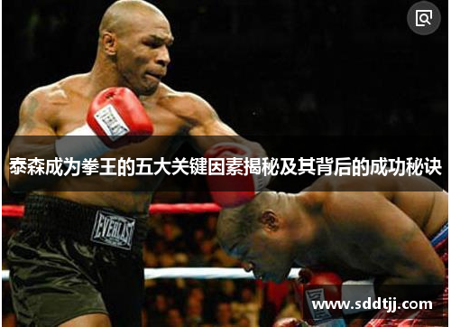 泰森成为拳王的五大关键因素揭秘及其背后的成功秘诀