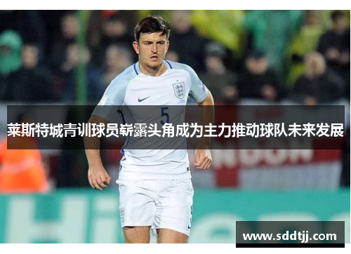 莱斯特城青训球员崭露头角成为主力推动球队未来发展