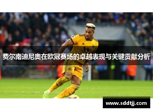 费尔南迪尼奥在欧冠赛场的卓越表现与关键贡献分析 费尔南迪尼奥在欧冠赛场的卓越表现与关键贡献分析